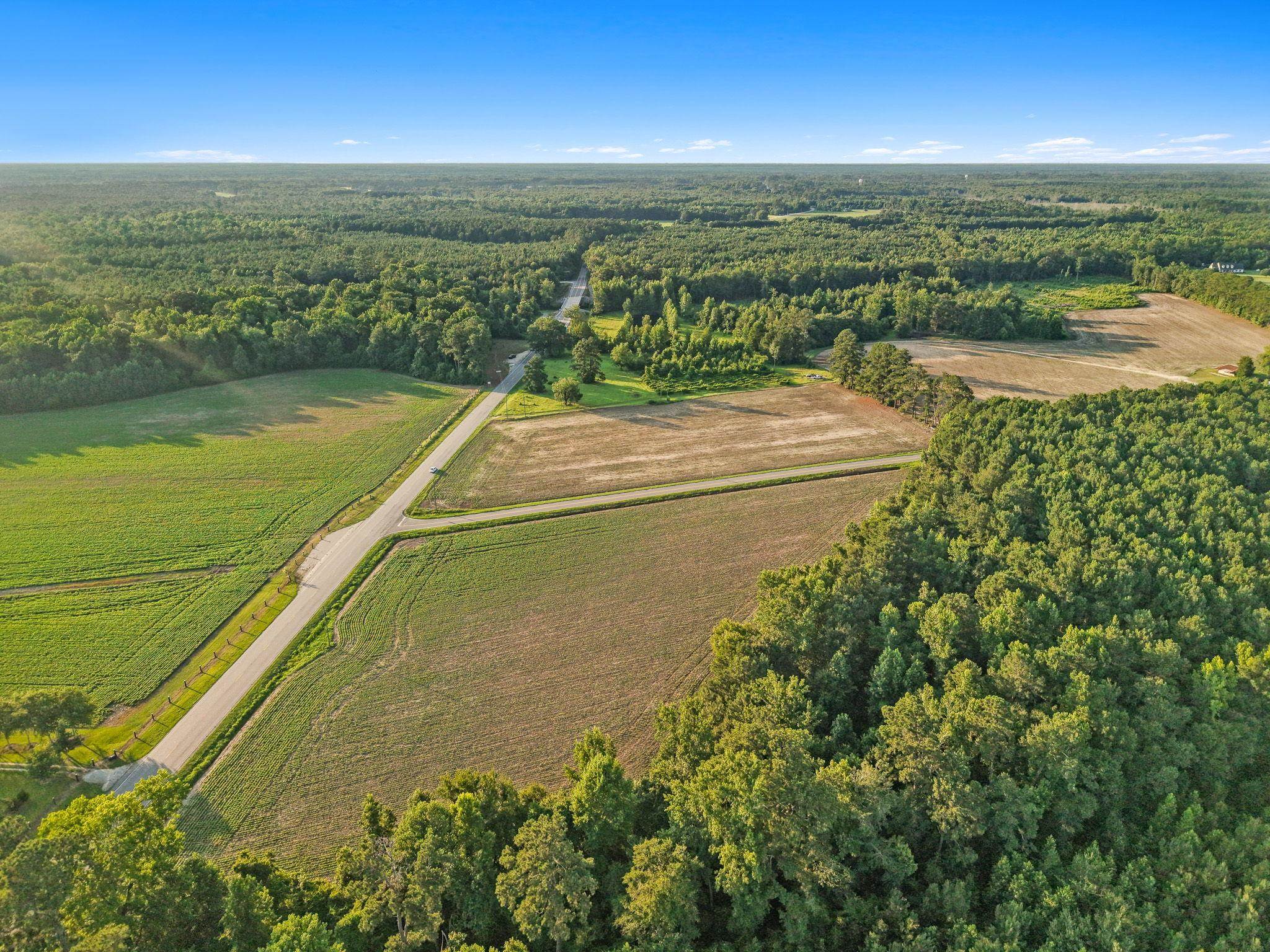 76 Highway 76 Nichols, SC 29581 - Photo 13 of 18 Gallery Image 13