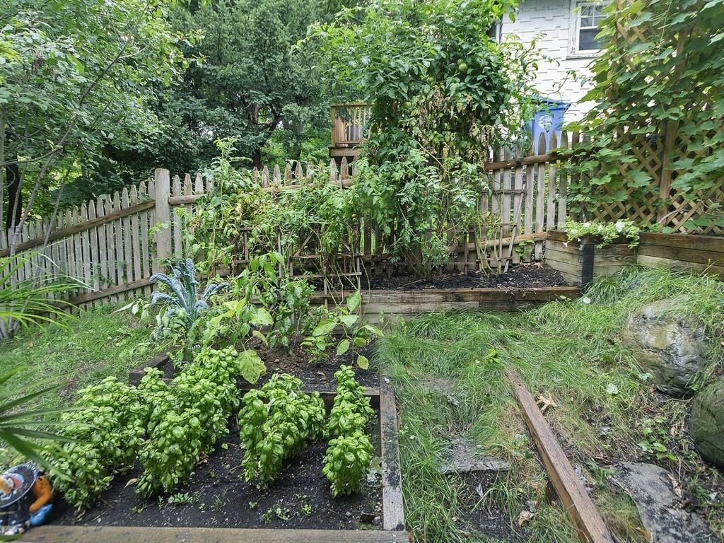 179 Florence Road Waltham, MA 02453 - Photo 28 of 37 a view of a yard with plants and large trees