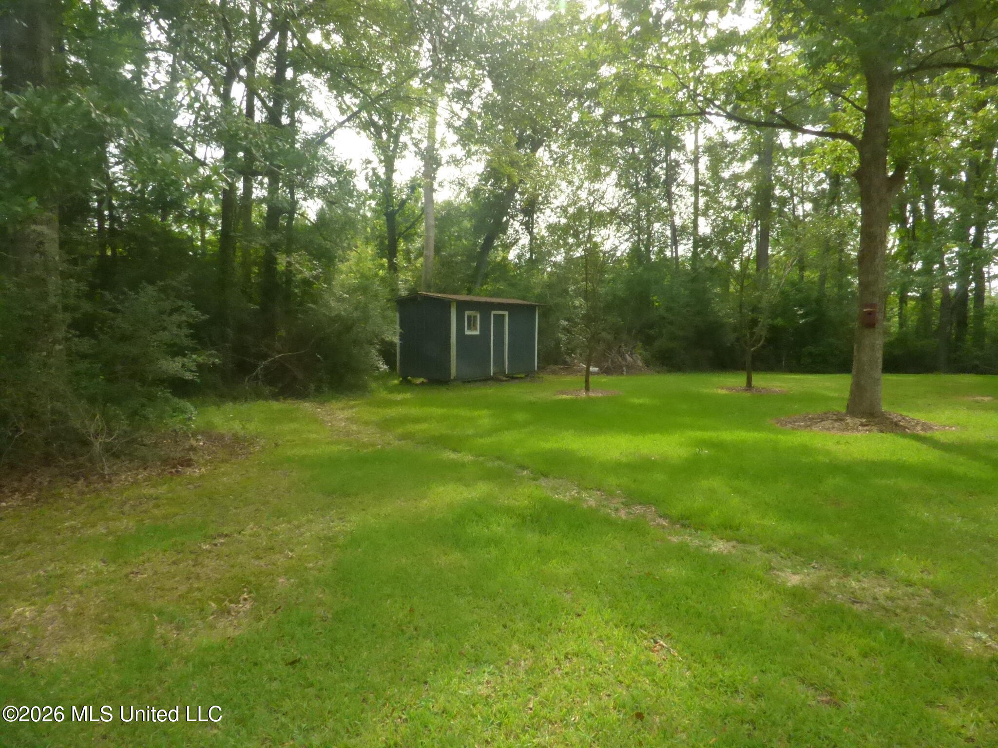 3739 Kahnville Road Gloster, MS 39638 - Photo 12 of 22 P1350778