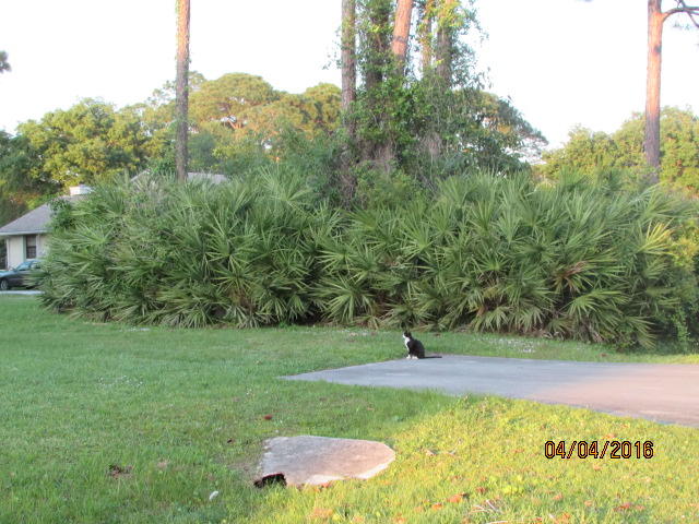 8720 Hidden Pines Road Fort Pierce, FL 34945 - Photo 30 of 31 30 yard 3