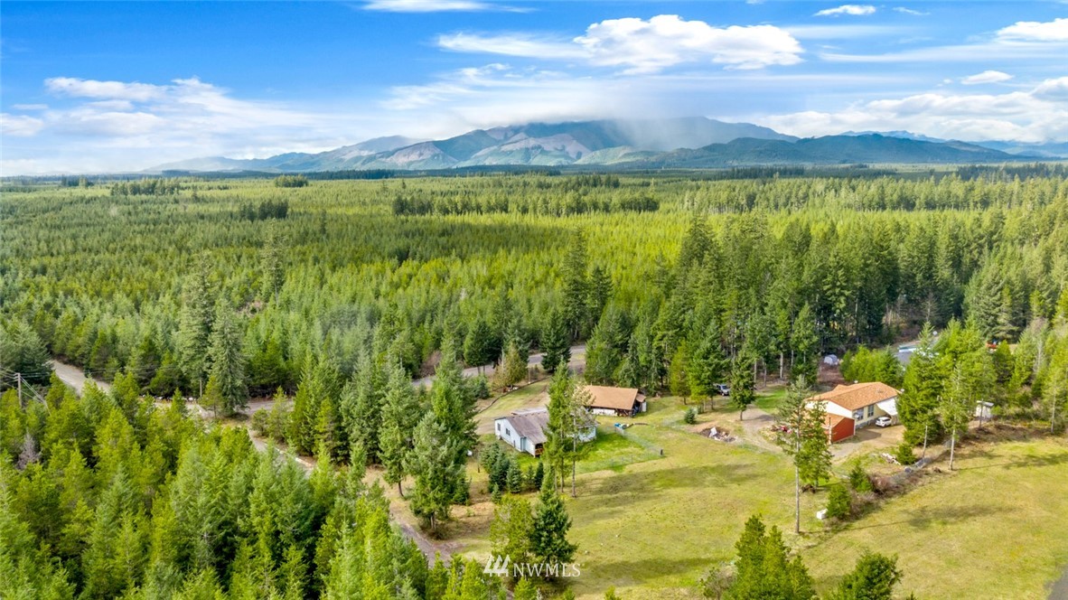 3380 West Martin Road Shelton, WA 98584 - Photo 1 of 27 Gallery Image 1