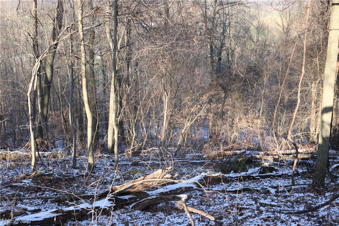 Scott Road Stone Creek, OH 43840 - Photo 17 of 23 Gallery Image 17