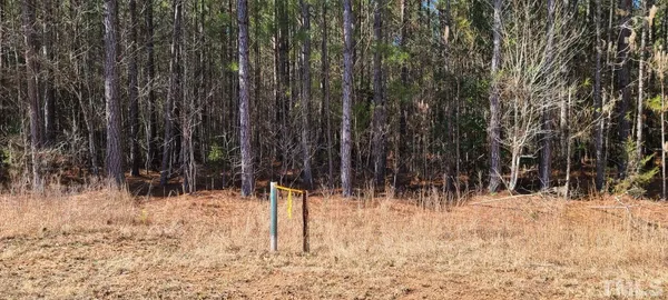 a view of a pathway with a yard
