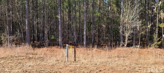 a view of a pathway with a yard