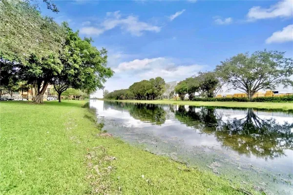 a view of a yard with an tree