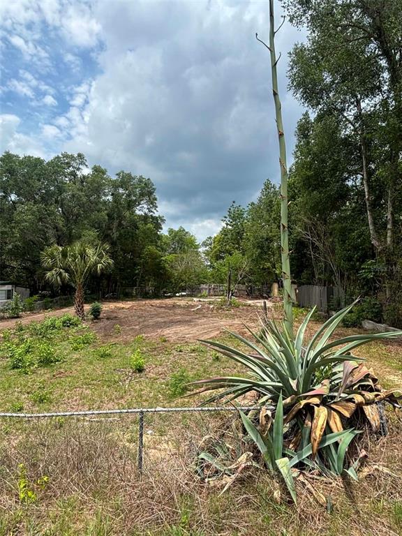 7480 Lakeview Street Keystone Heights, FL 32656 - Photo 1 of 7
