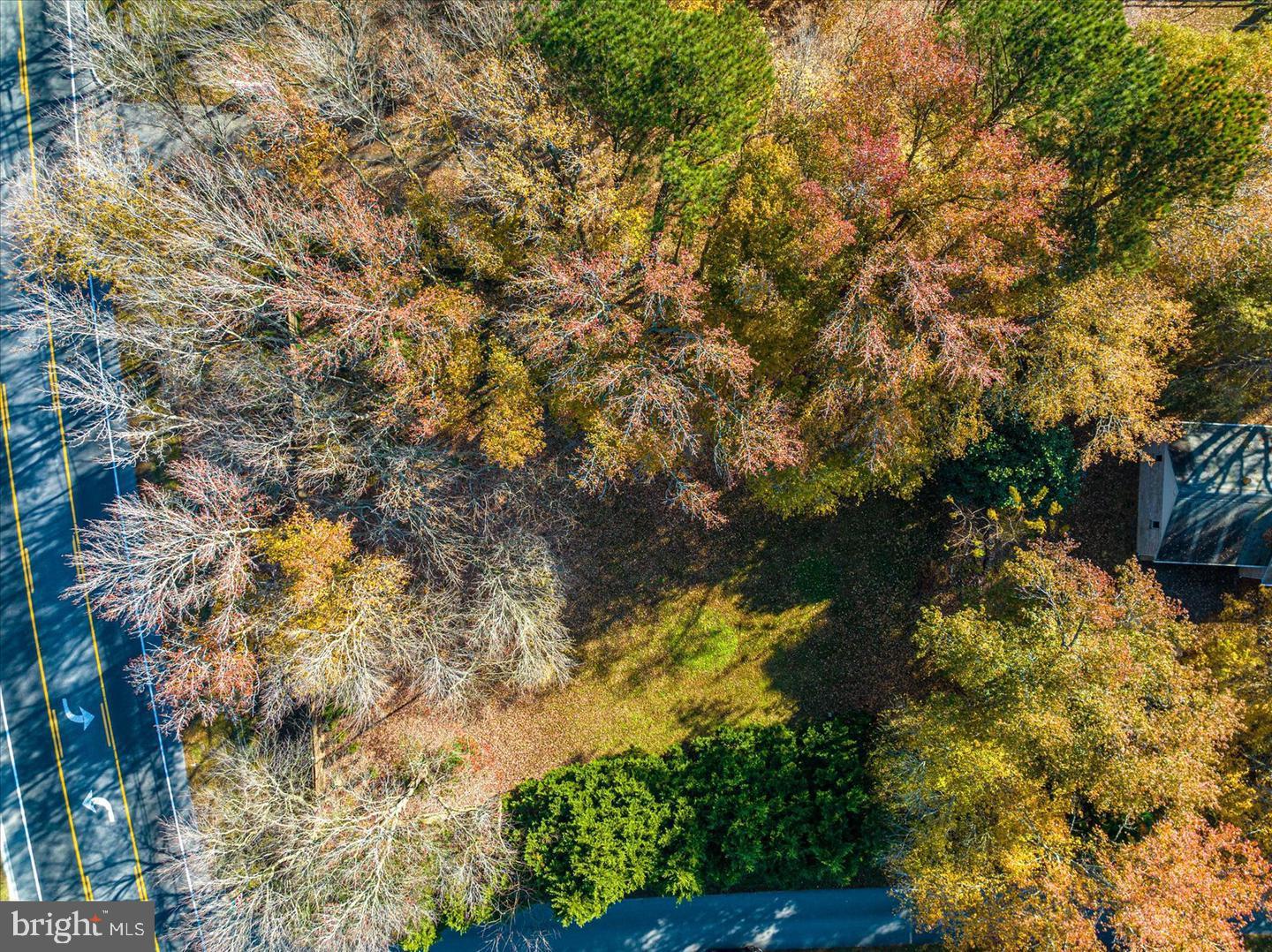 Lot 1 Diane Road Dagsboro, DE 19939 - Photo 3 of 18