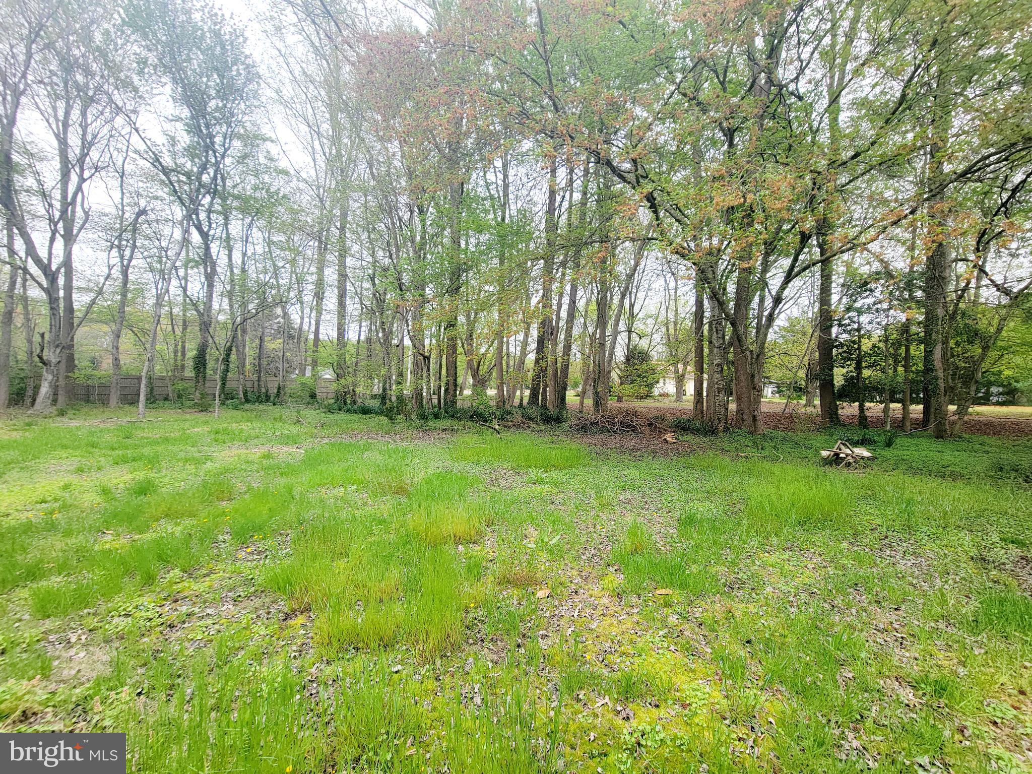 Lot 1 Diane Road Dagsboro, DE 19939 - Photo 8 of 18