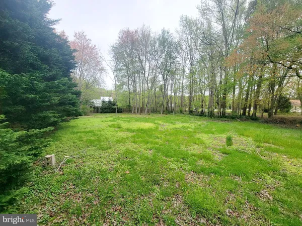 $289,990 | Lot 1 Diane Road, Dagsboro, DE 19939