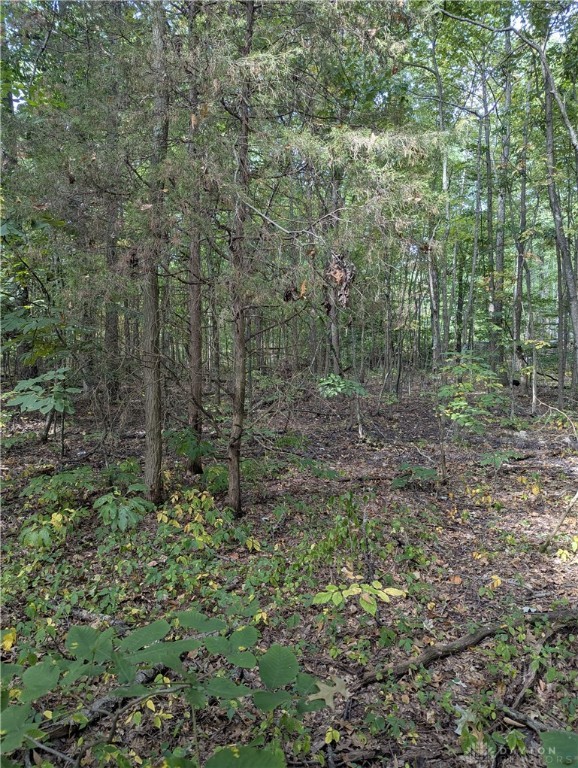 3447 Snider-Malott Road Mount Orab, OH 45154 - Photo 6 of 9 Gallery Image 6
