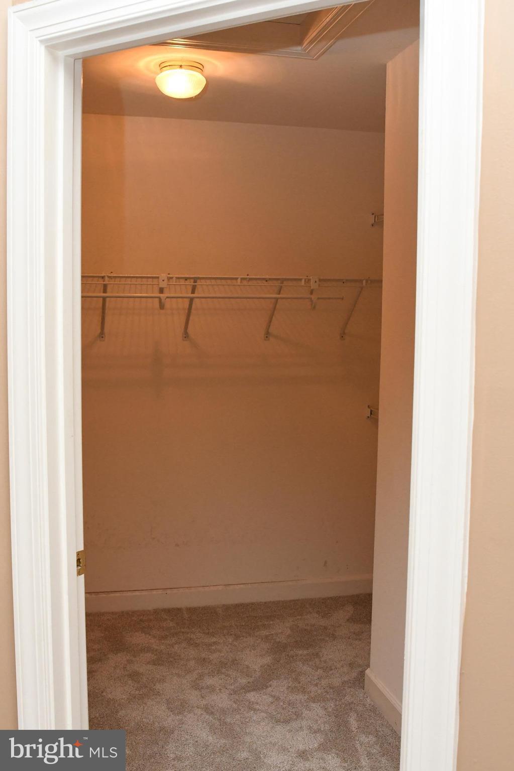 41775 Expectation Square Aldie, VA 20105 - Photo 14 of 30 Walk-in Closet