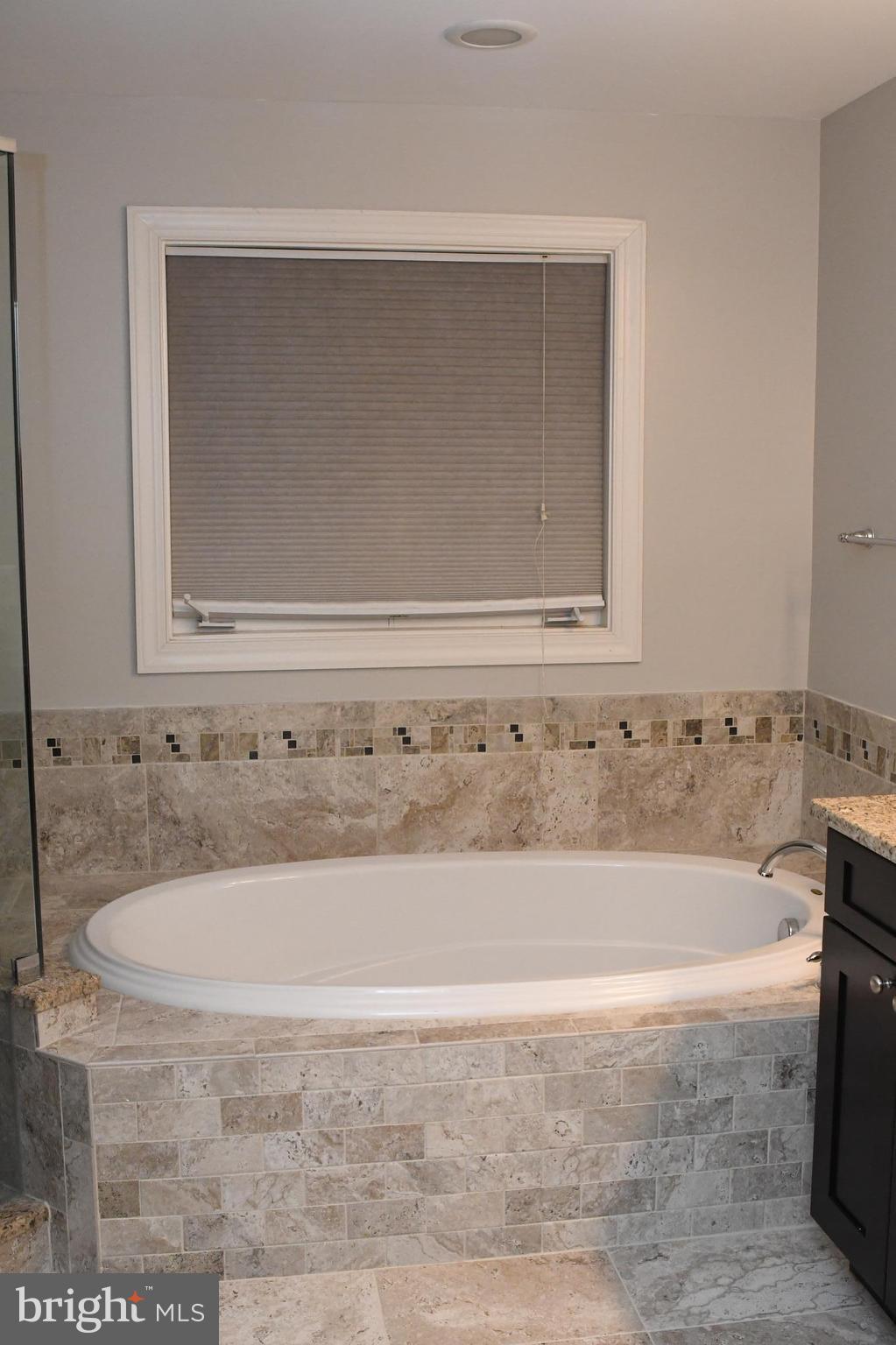 41775 Expectation Square Aldie, VA 20105 - Photo 15 of 30 Bath Tub (Master)