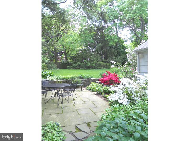366 Williams Road Wynnewood, PA 19096 - Photo 25 of 25 Exterior Back
