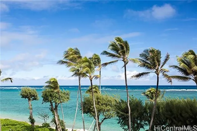 a view of a flower in a garden