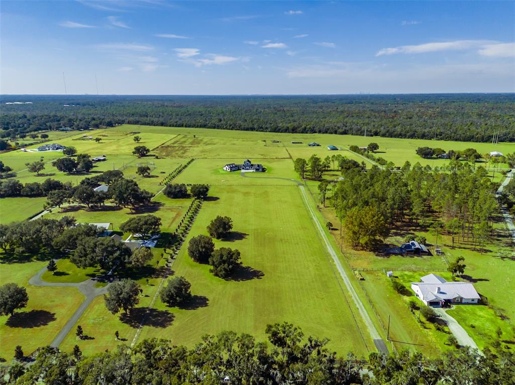 3527 Powerline Road Lithia, FL 33547 - Photo 11 of 12