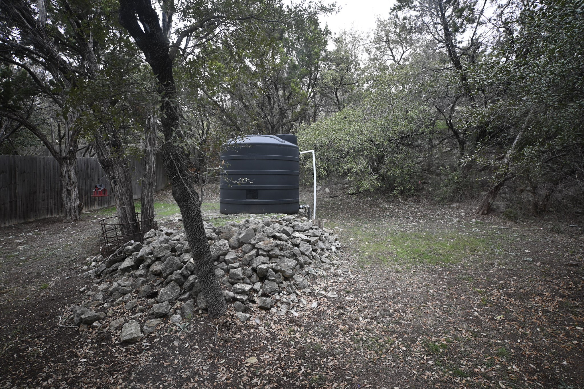 15104 Texas Street Austin, TX 78734 - Photo 17 of 18 a view of a forest that has large trees