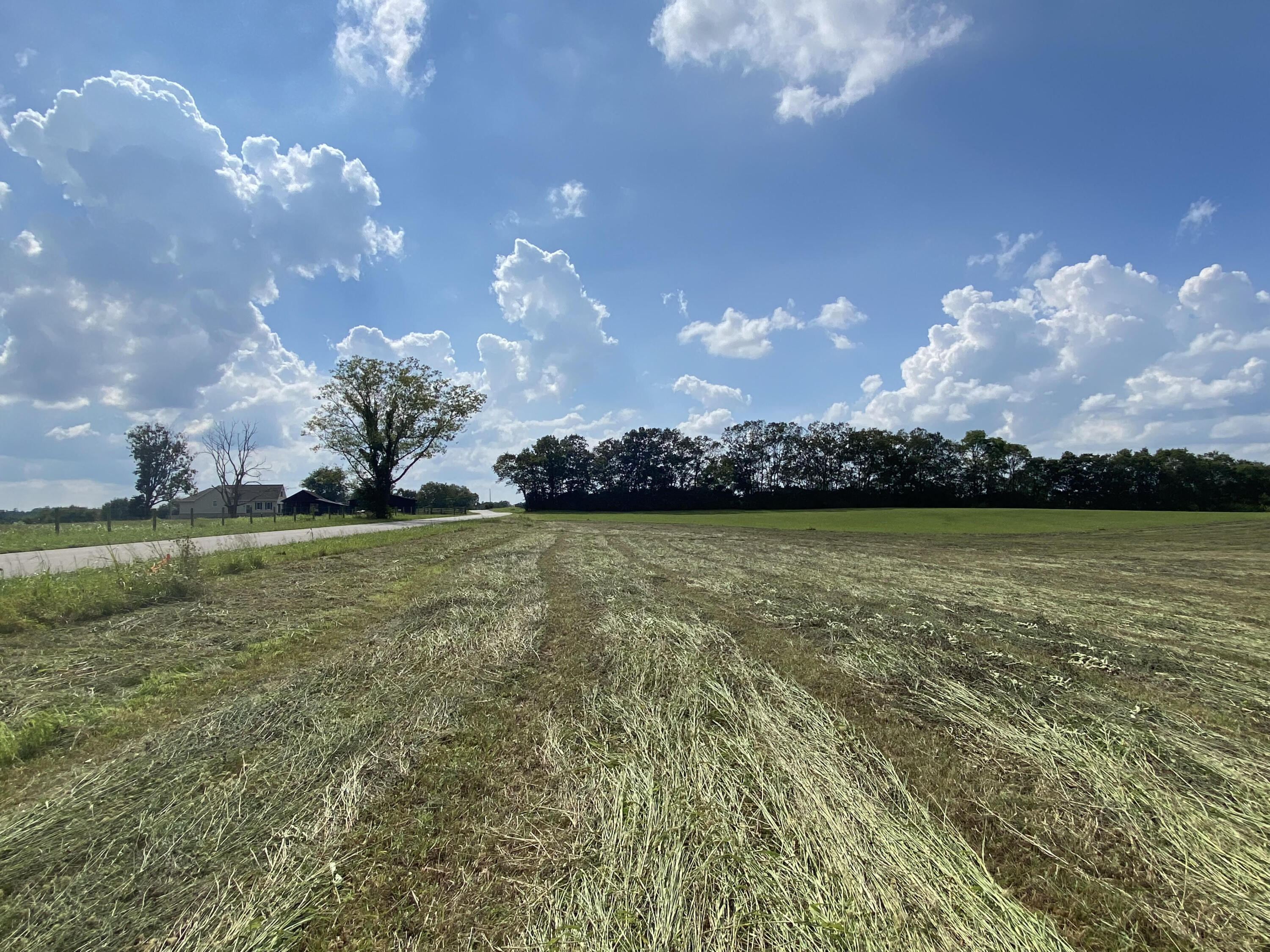 1 Walnut Grove Road, Unit 2 Carlisle, KY 40311 - Photo 4 of 4 unnamed