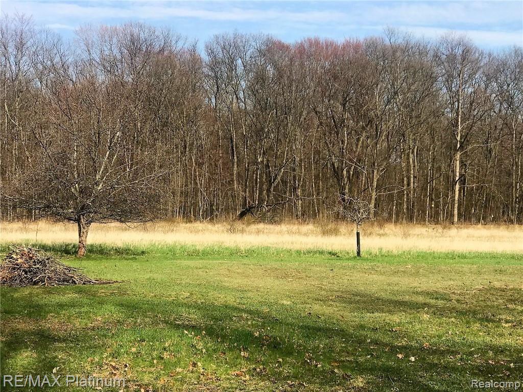 20155 Tipsico Lake Road Holly, MI 48442 - Photo 29 of 34 IMG_2627.jpg