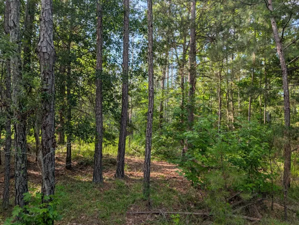 $115,000 | 3079 Marshall Road, Appling, GA 30802