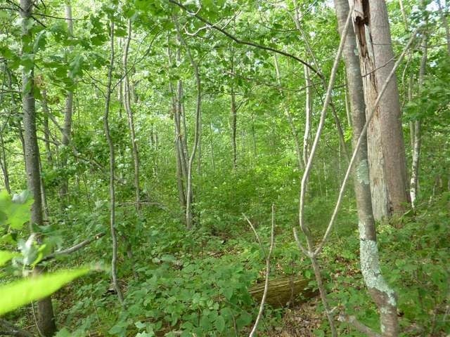 Lot 11 Thorofare Road Minocqua, WI 54548 - Photo 11 of 15 Gallery Image 11