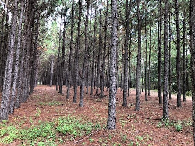 0 Barlow Road Cochran, GA 31014 - Photo 14 of 21