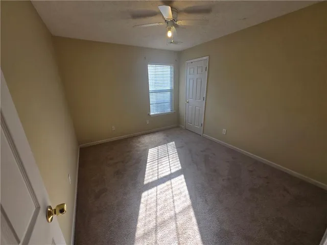 a view of a backyard with plants