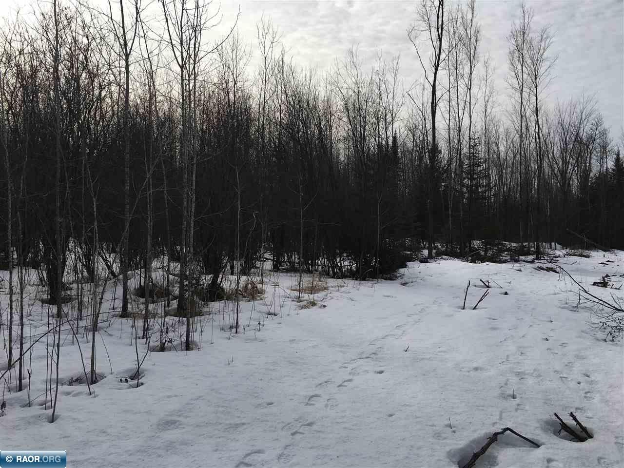 71 Intl Falls Littlefork, MN 56653 - Photo 1 of 1