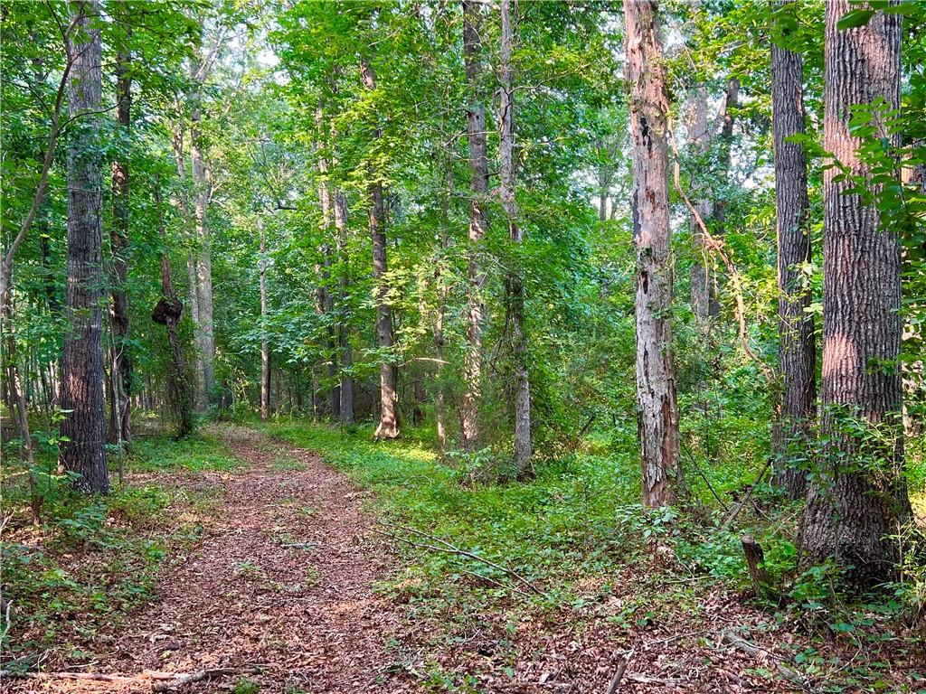 3 Howe Road Landrum, SC 29356 - Photo 8 of 15