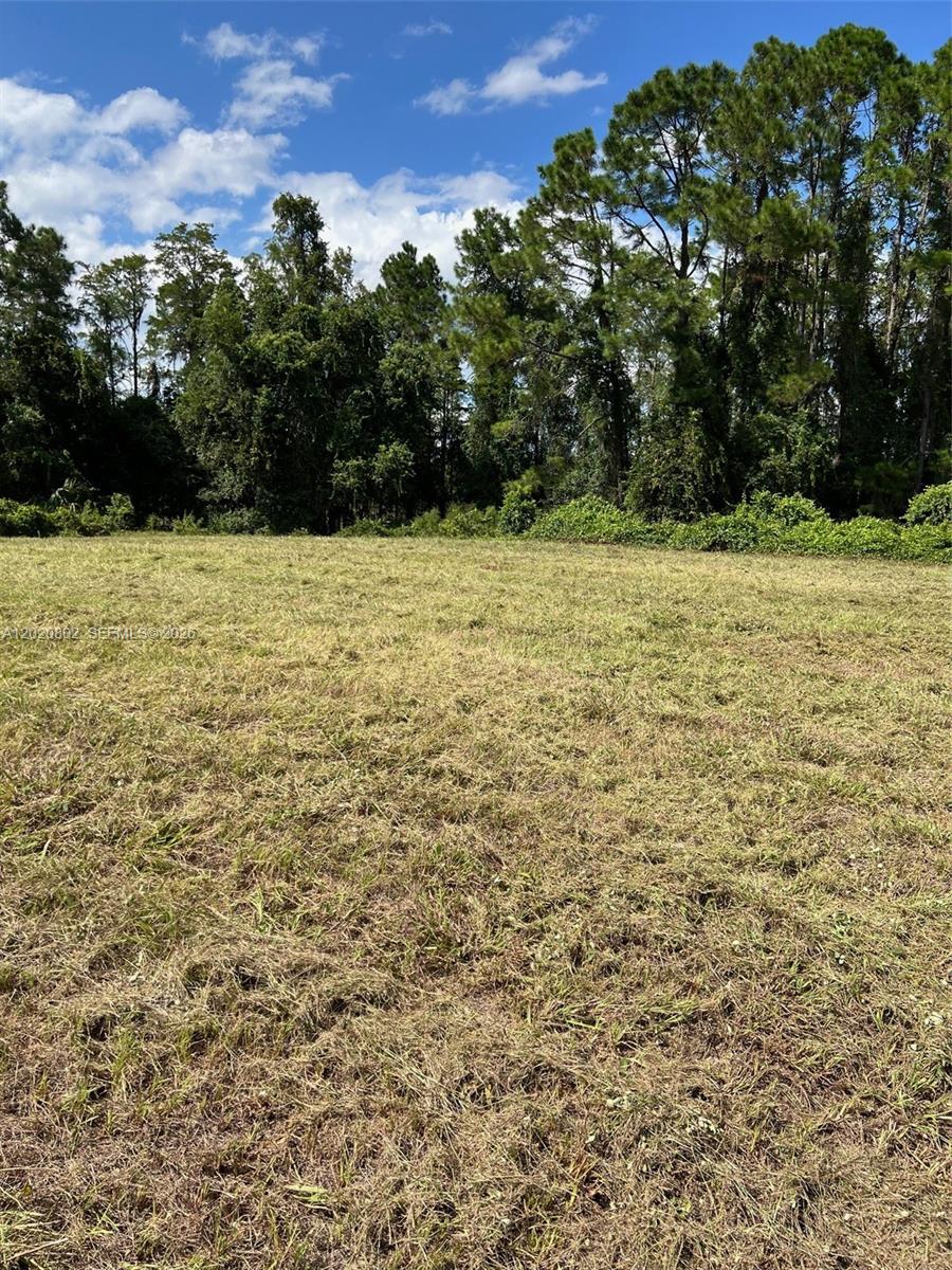 Huntington Shortcut Road Crescent City, FL 32112 - Photo 4 of 6 Photo 4