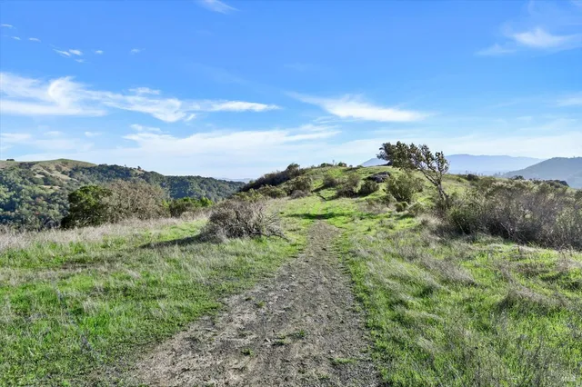 $5,500,000 | 615 Oak Manor Drive, Fairfax, CA 94930