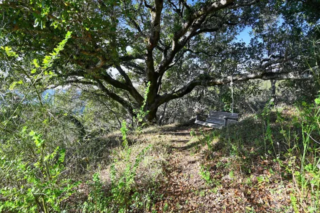 $5,500,000 | 615 Oak Manor Drive, Fairfax, CA 94930