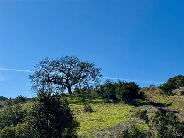 $5,500,000 | 615 Oak Manor Drive, Fairfax, CA 94930