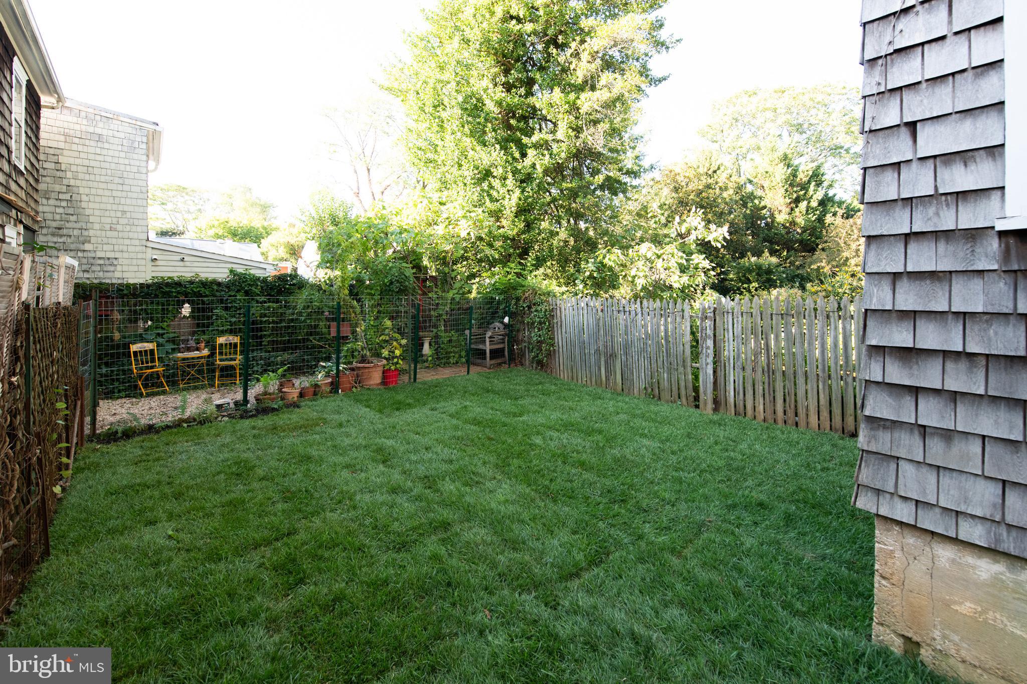 107 Conduit Street Annapolis, MD 21401 - Photo 39 of 57 Wonderful green space perfect for firepit area