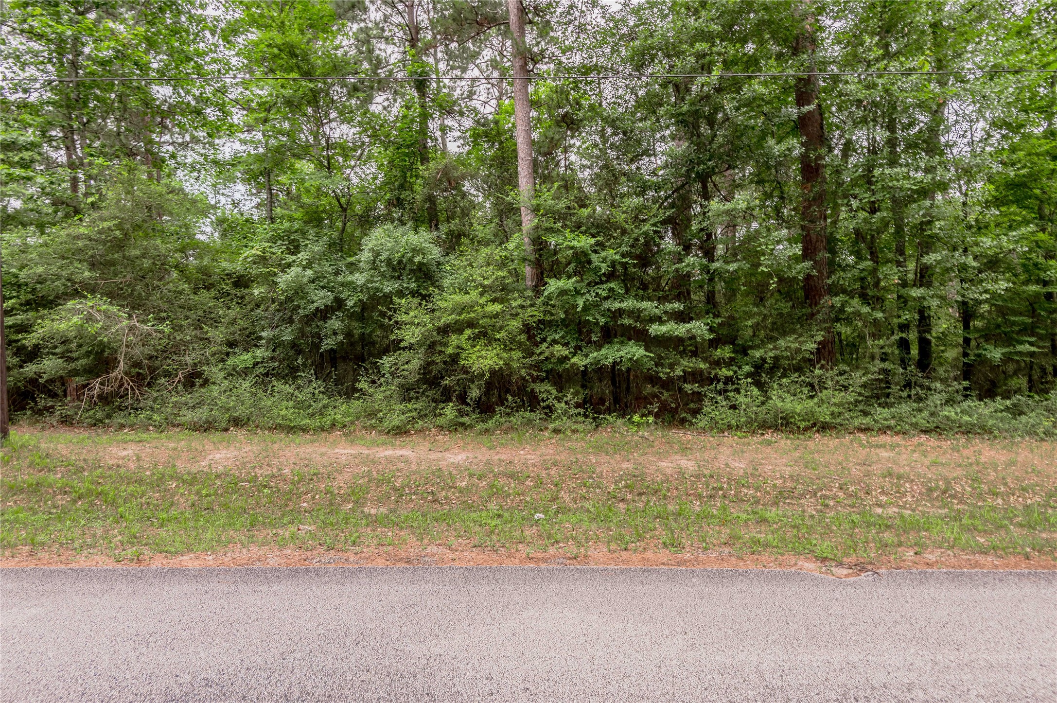 Lot 07 Oak Drive Trinity, TX 75862 - Photo 4 of 36
