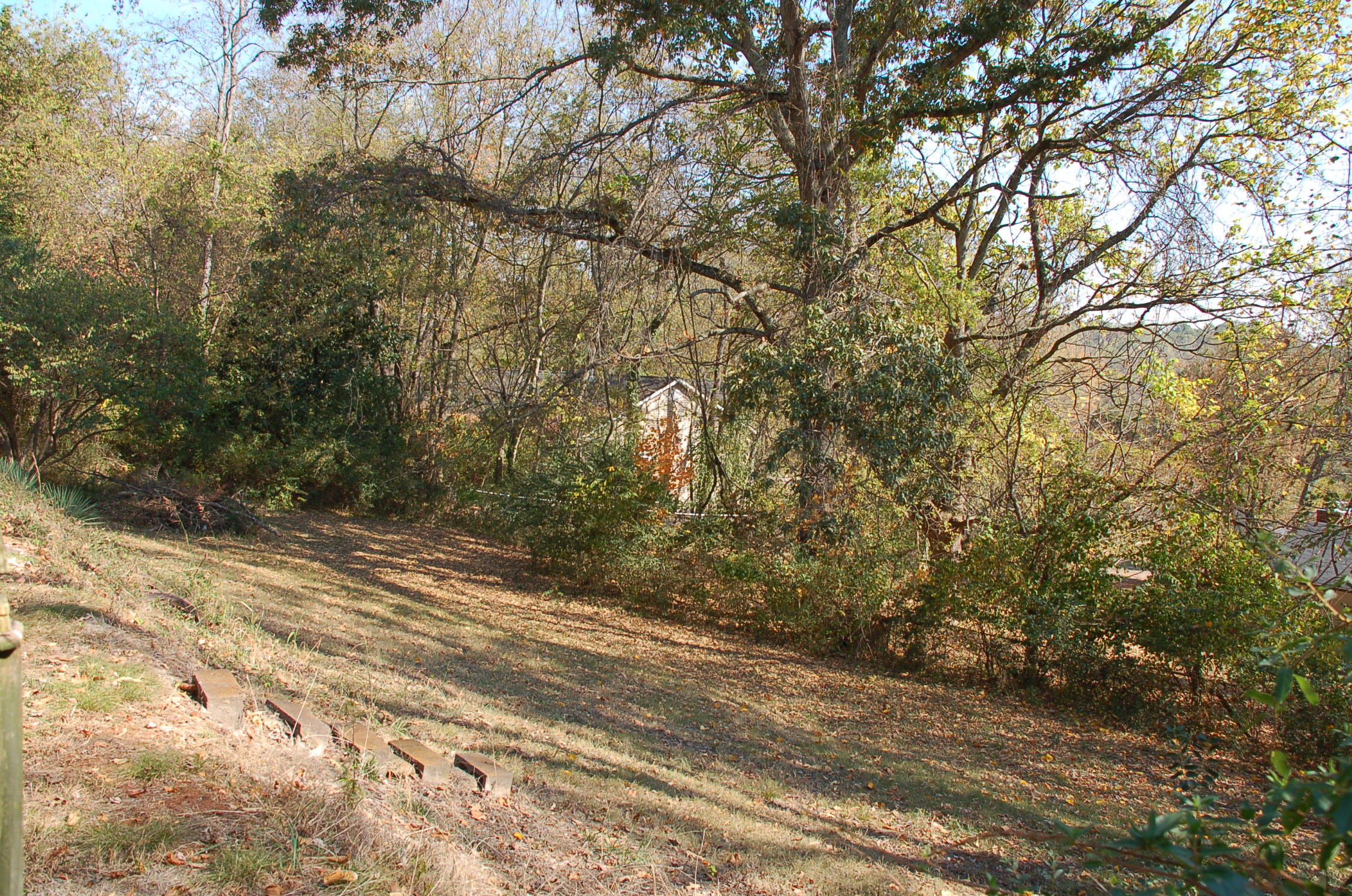 1616 Duncan Road Knoxville, TN 37919 - Photo 27 of 28 fenced rear yard