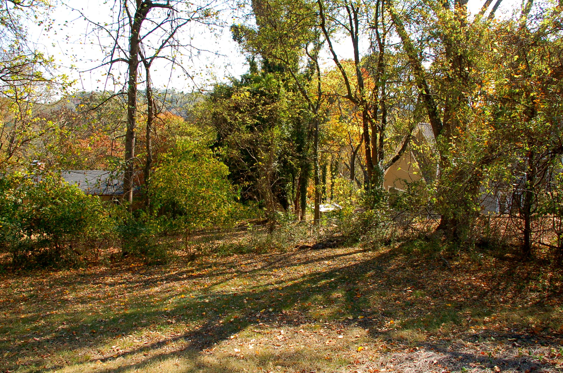 1616 Duncan Road Knoxville, TN 37919 - Photo 28 of 28 privacy
