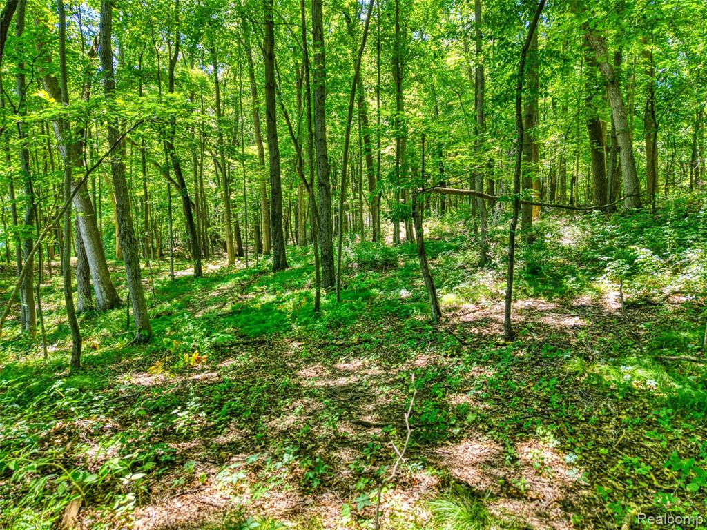 5663 Iosco Mountain Road Gregory, MI 48137 - Photo 7 of 13