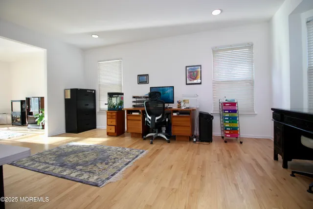 a living room with a rug and a potted plant