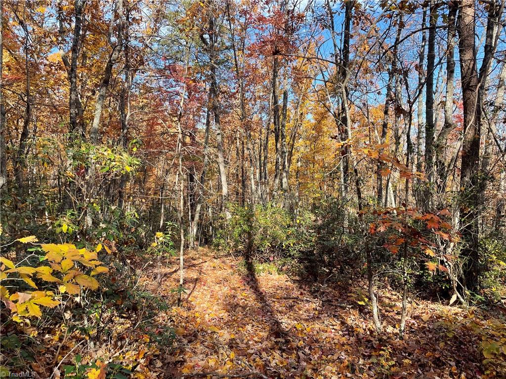 1928 Frye Road Westfield, NC 27053 - Photo 13 of 36