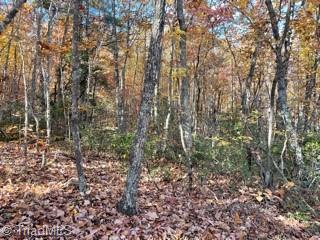 1928 Frye Road Westfield, NC 27053 - Photo 15 of 36
