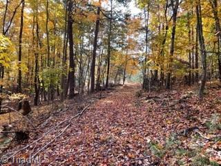 1928 Frye Road Westfield, NC 27053 - Photo 18 of 36