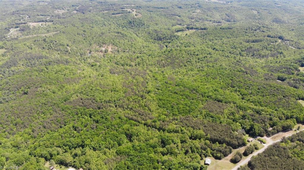 1928 Frye Road Westfield, NC 27053 - Photo 31 of 36