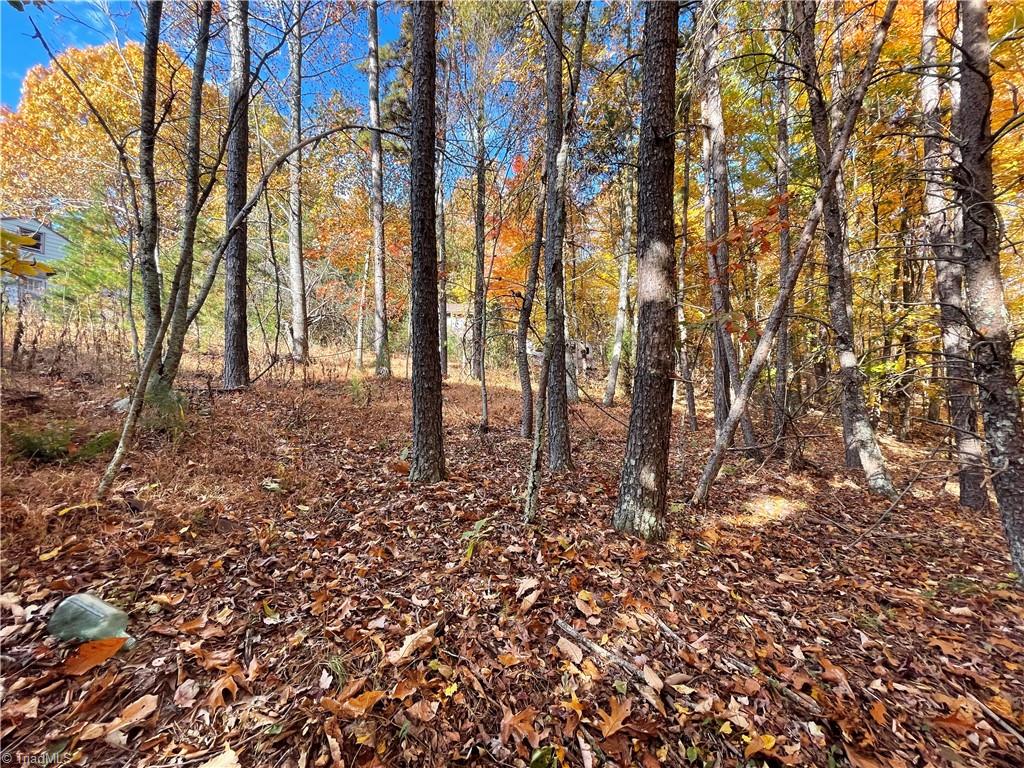 1928 Frye Road Westfield, NC 27053 - Photo 6 of 36