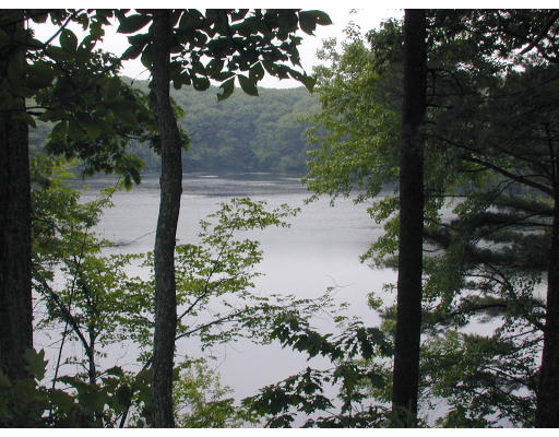 65 South Great Road Lincoln, MA 01773 - Photo 2 of 2 a view of a lake in a forest