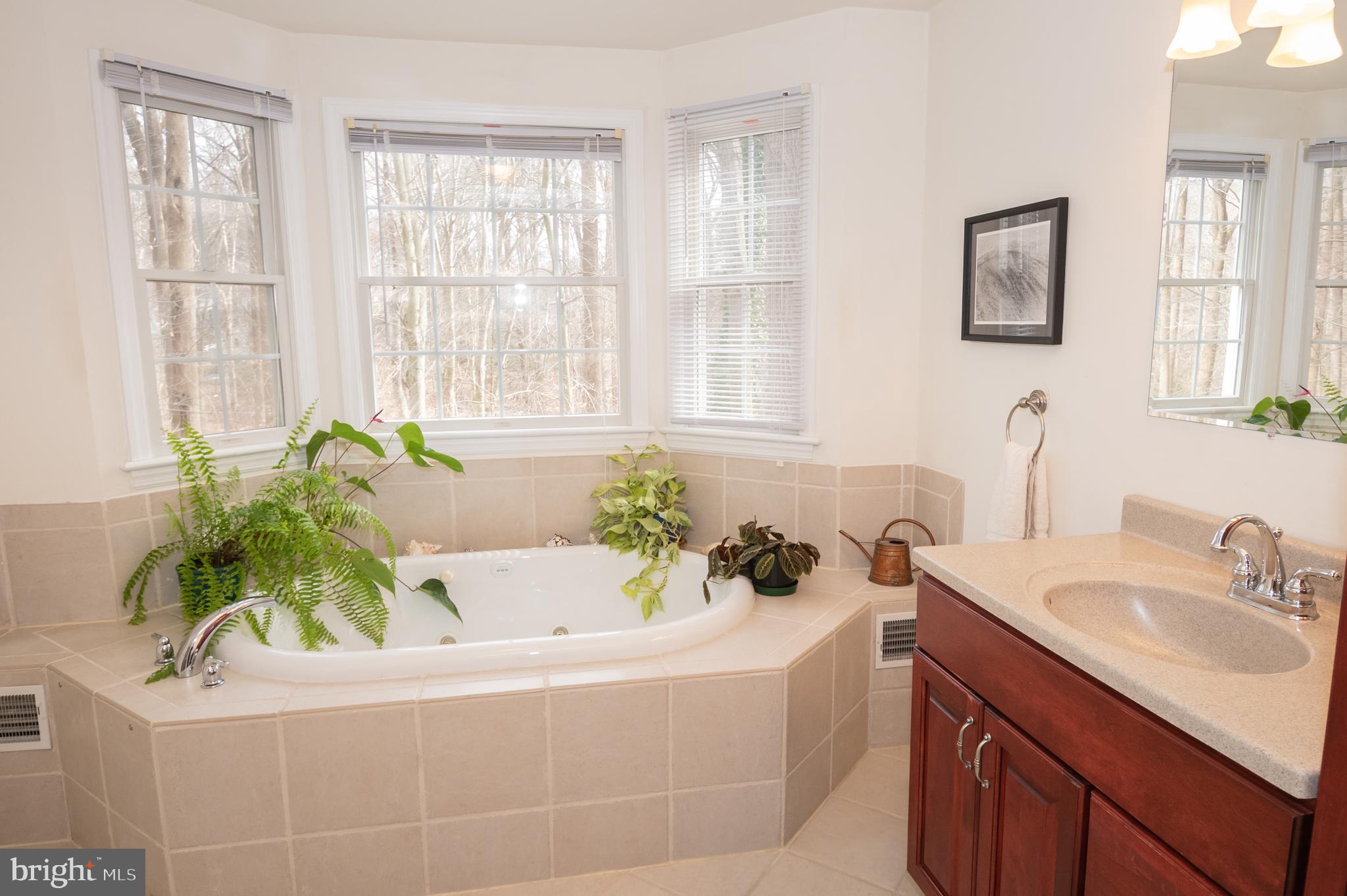 540 Ashland Ridge Road Hockessin, DE 19707 - Photo 20 of 30 Oval soaking tub backs to wooded privacy