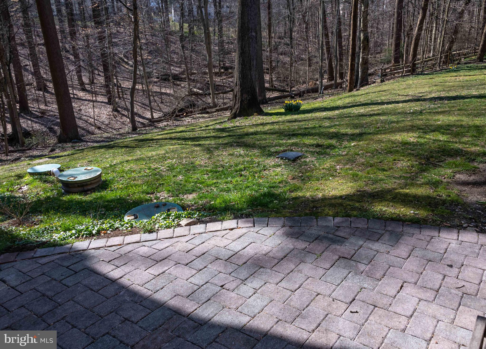 Patio & private wooded wonderland