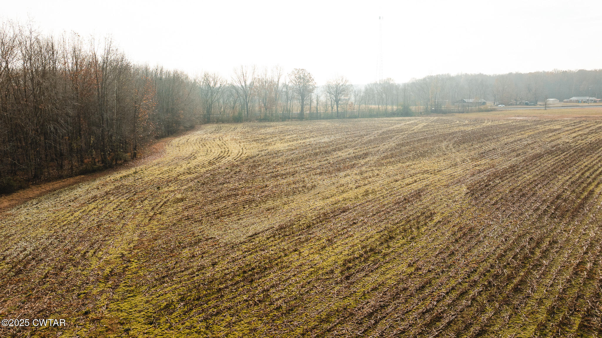 20 Seaboard Lane McKenzie, TN 38201 - Photo 12 of 29 a view of an ocean