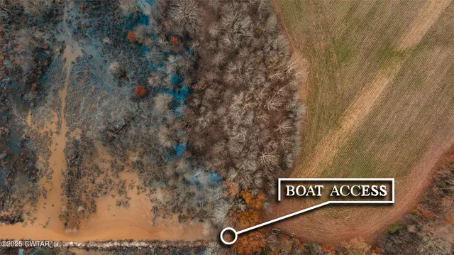 a view of a street with red trees