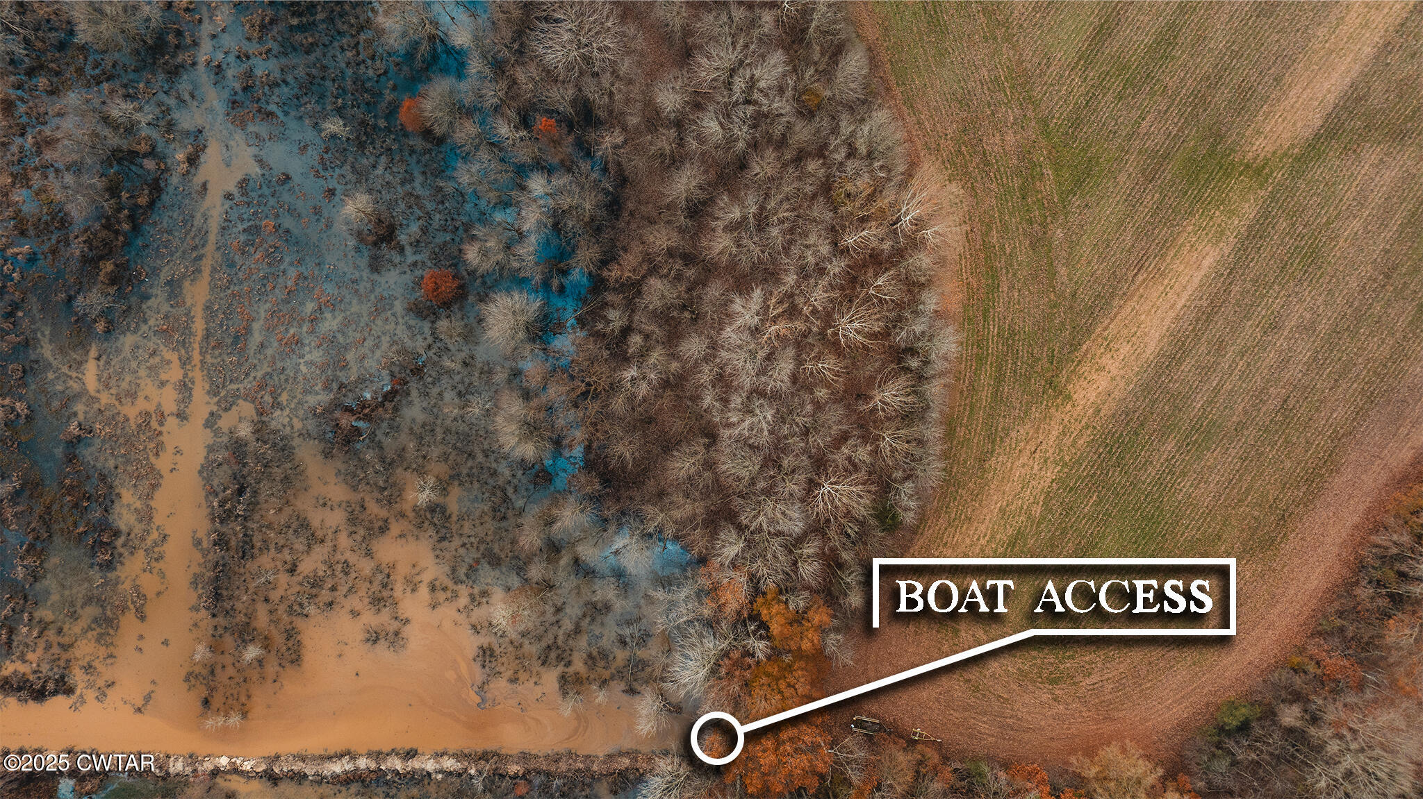 20 Seaboard Lane McKenzie, TN 38201 - Photo 4 of 29 a view of a street with red trees