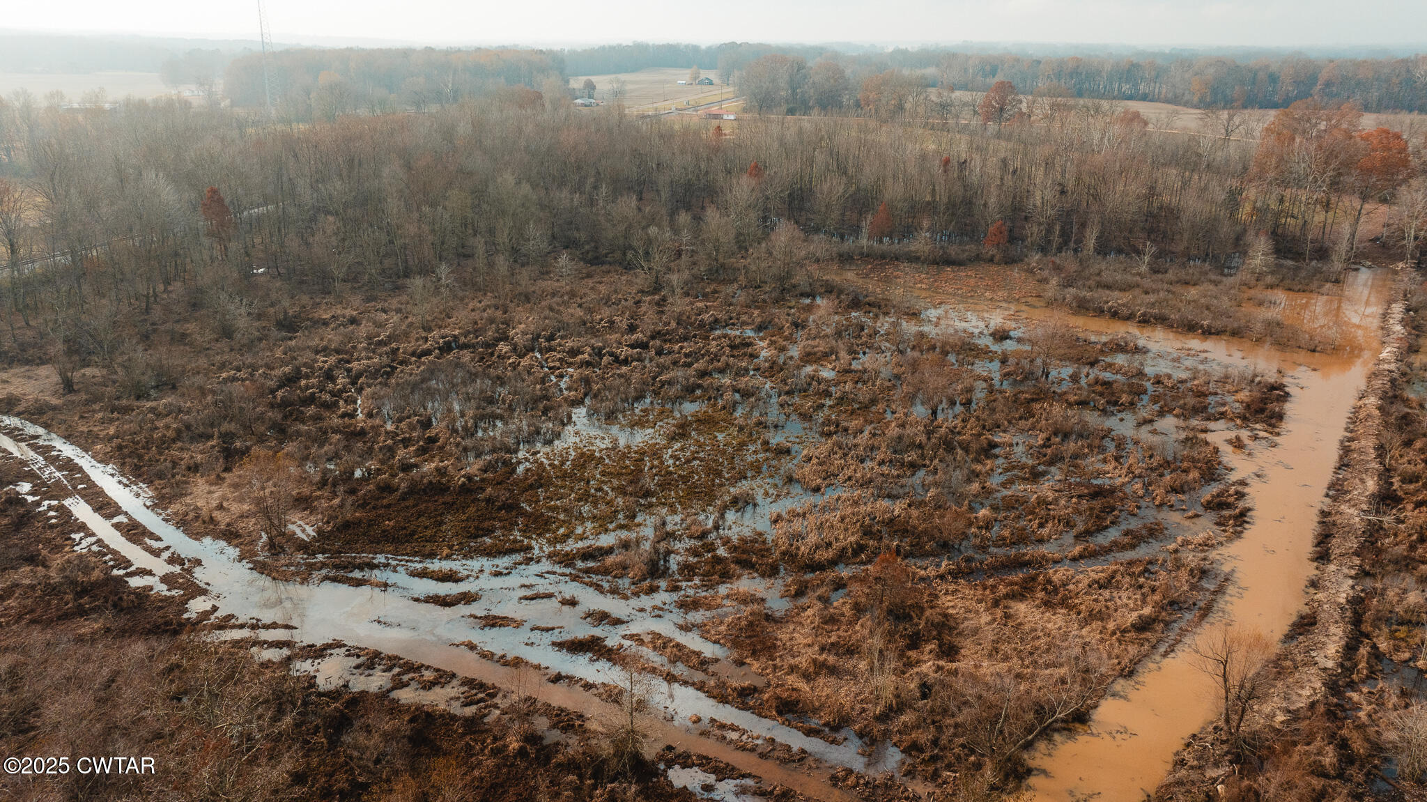 20 Seaboard Lane McKenzie, TN 38201 - Photo 6 of 29 a view of a yard